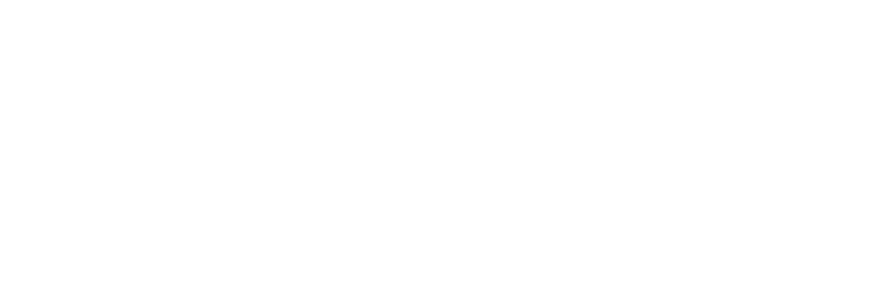Fisiovida